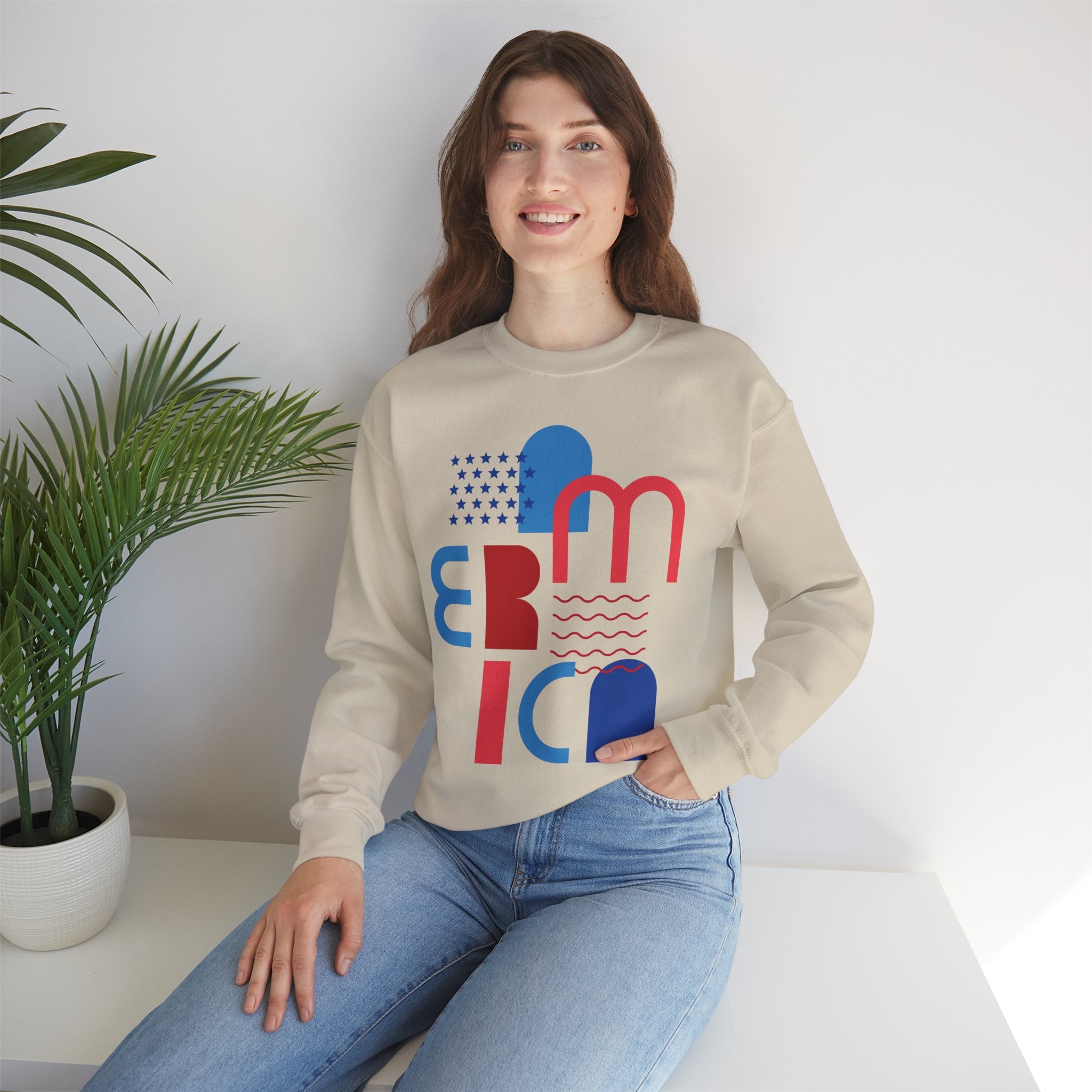 America Graphic Sweatshirt — Modern Red & Blue Design