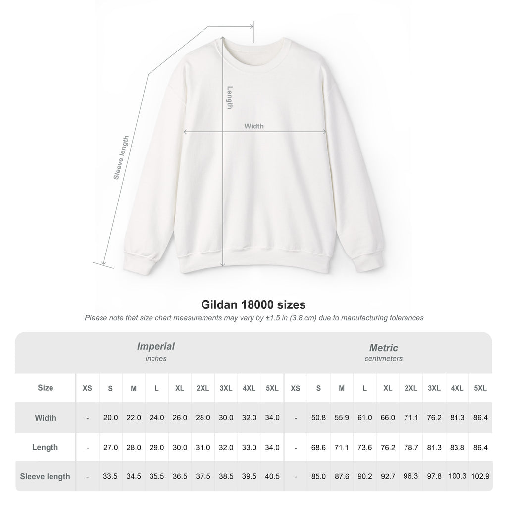 America Graphic Sweatshirt — Modern Red & Blue Design